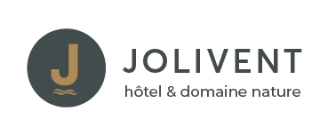 Logo Jolivent Gris