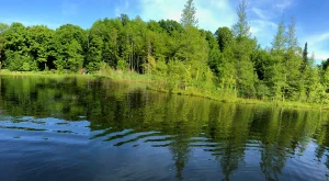 etang ecologie