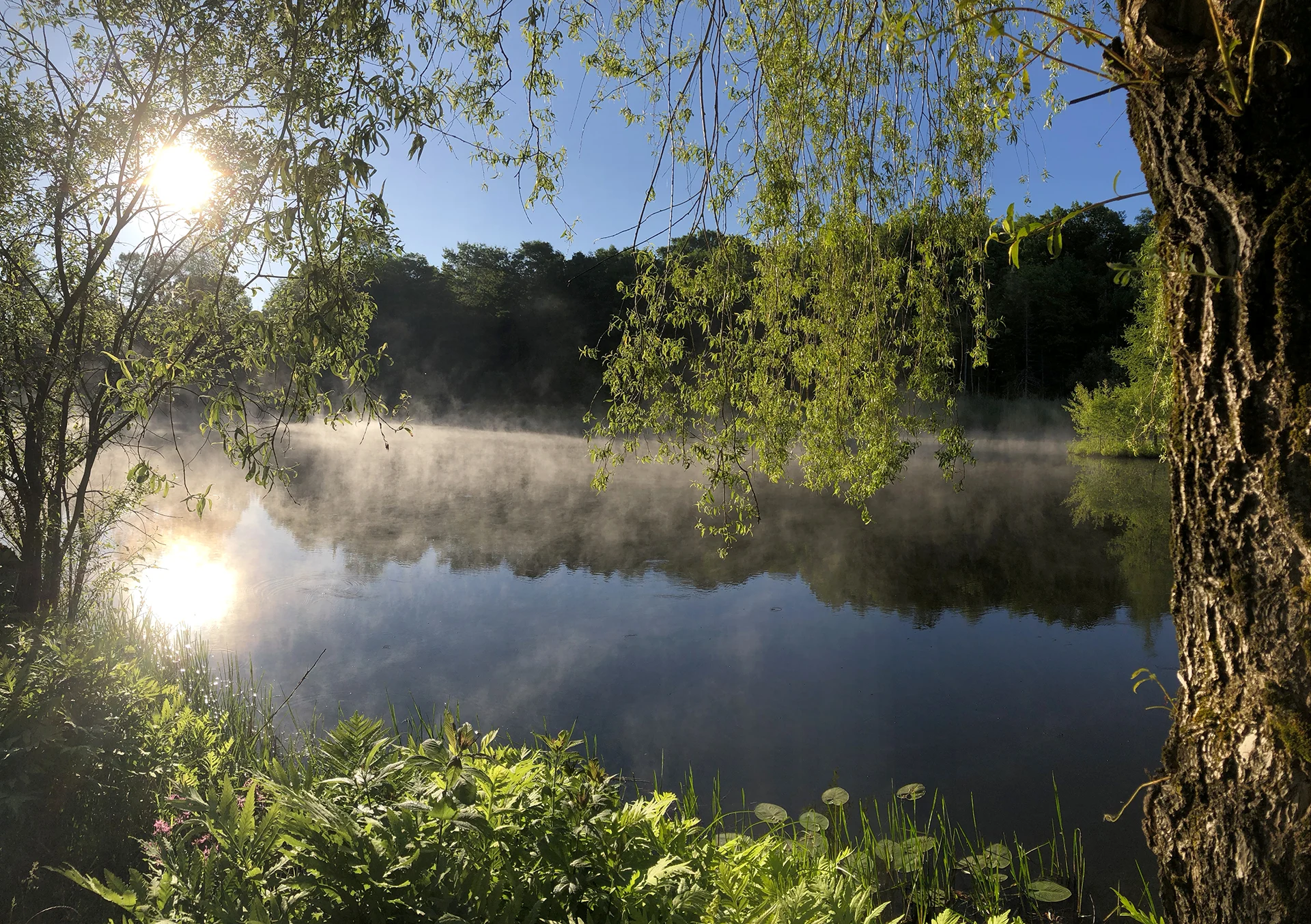 etang du Jolivent